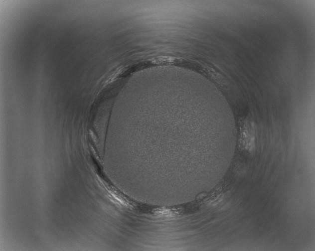X0000056380616200508291414