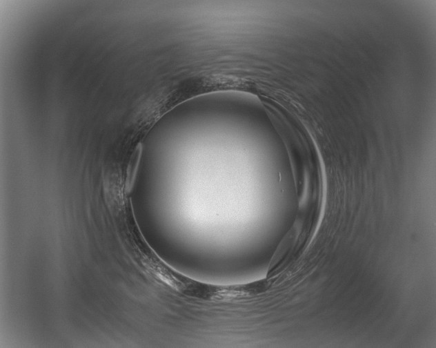 X0000056380617200508291414