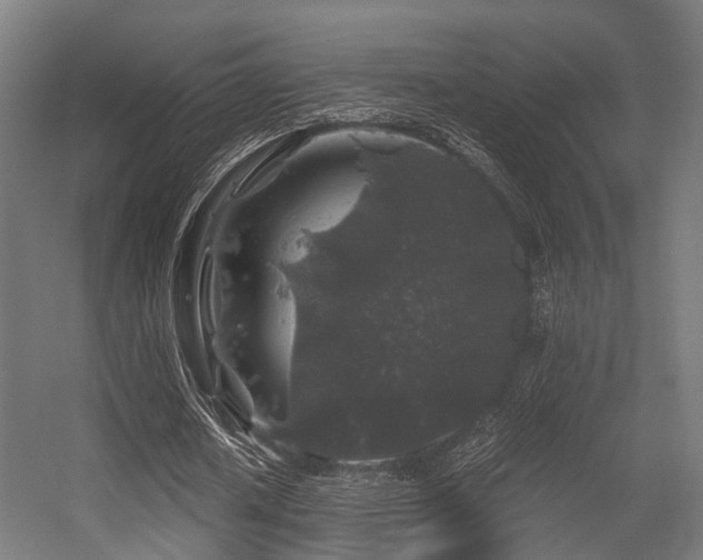 X0000056380626200508291413