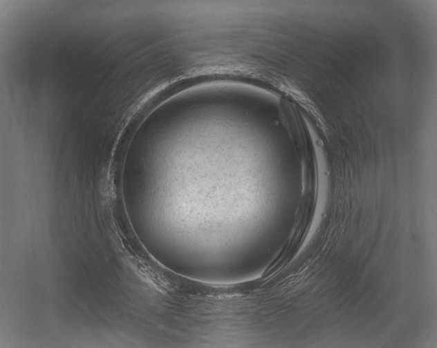 X0000056380628200508291413