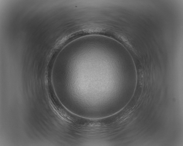 X0000056380631200508291413
