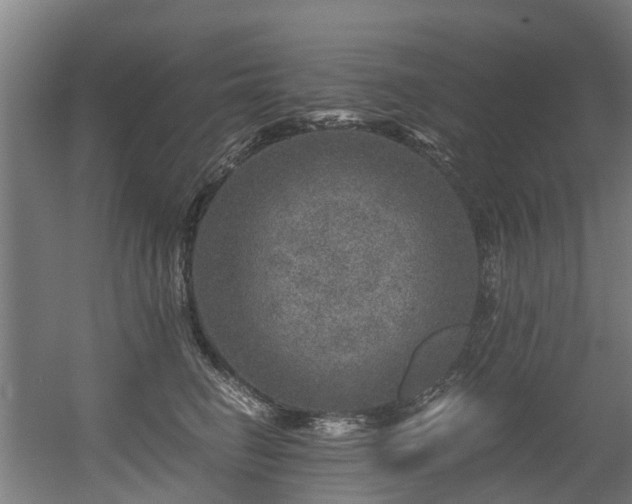 X0000056380662200508291413