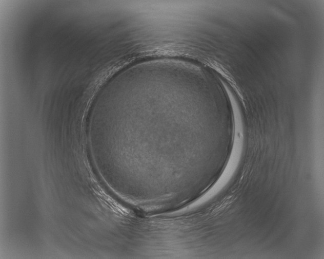 X0000056380673200508291413