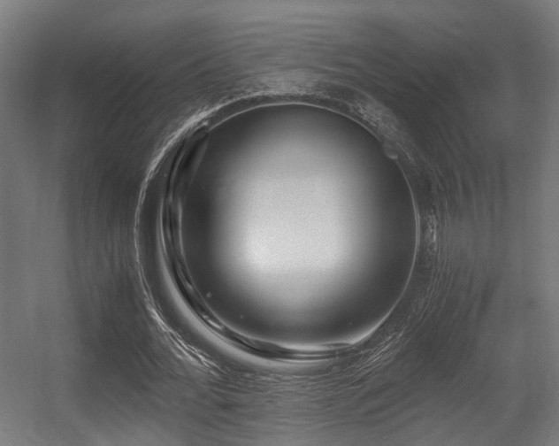 X0000056380676200508291413