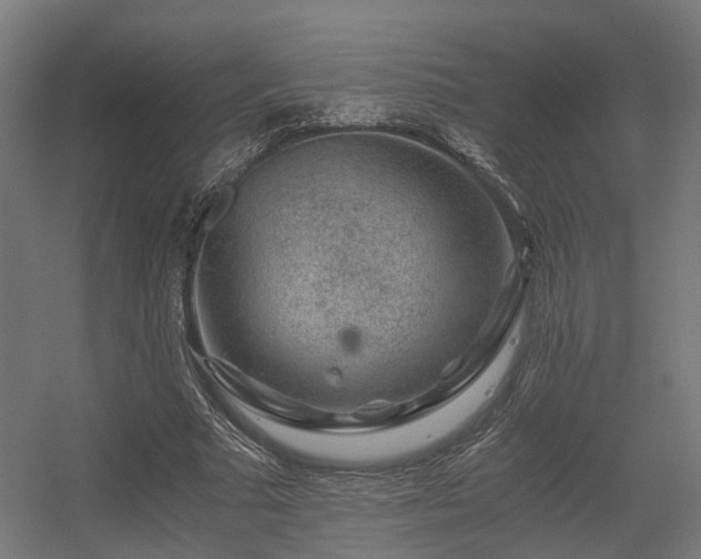 X0000056380681200508291412