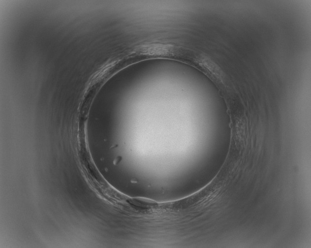 X0000056380682200508291412
