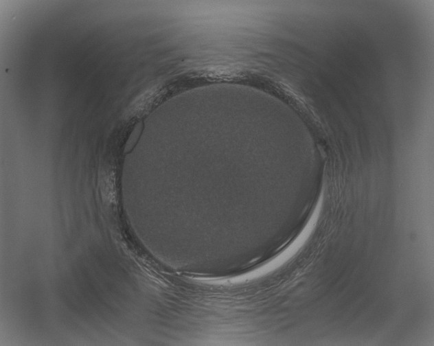 X0000056380689200508291412