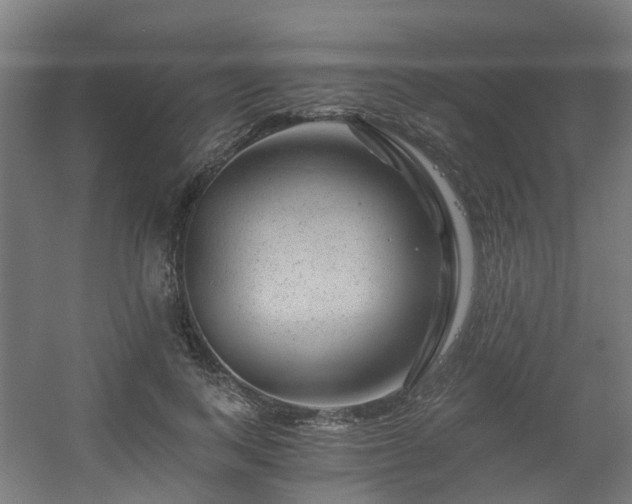 X0000056380743200508291411