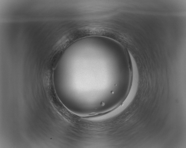 X0000056380744200508291411