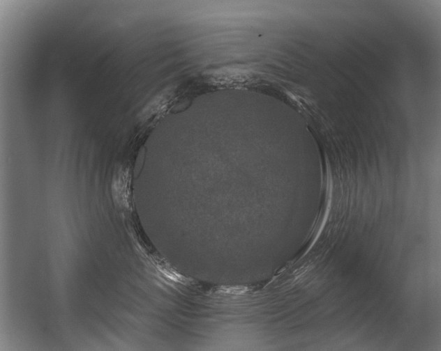 X0000056380767200508291412