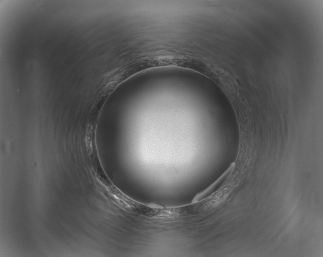 X0000056380768200508291412