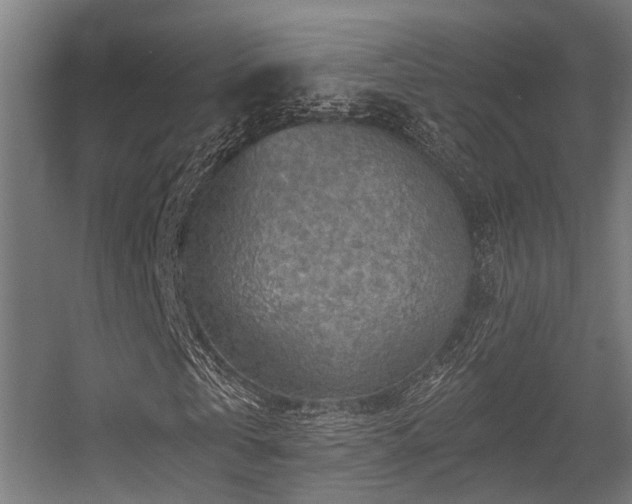 X0000056380769200508291411