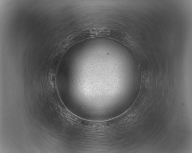 X0000056380770200508291411