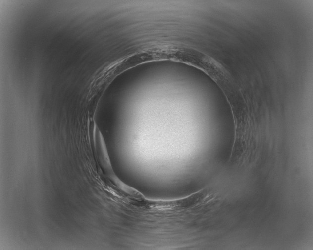 X0000056380773200508291411