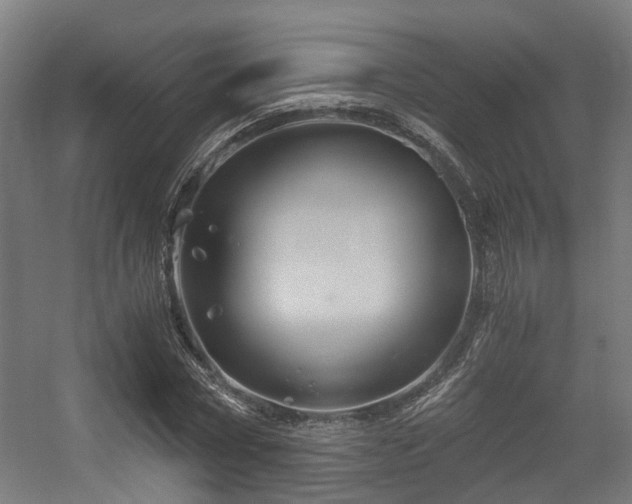 X0000056380778200508291411