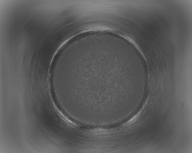 X0000056380783200508291411