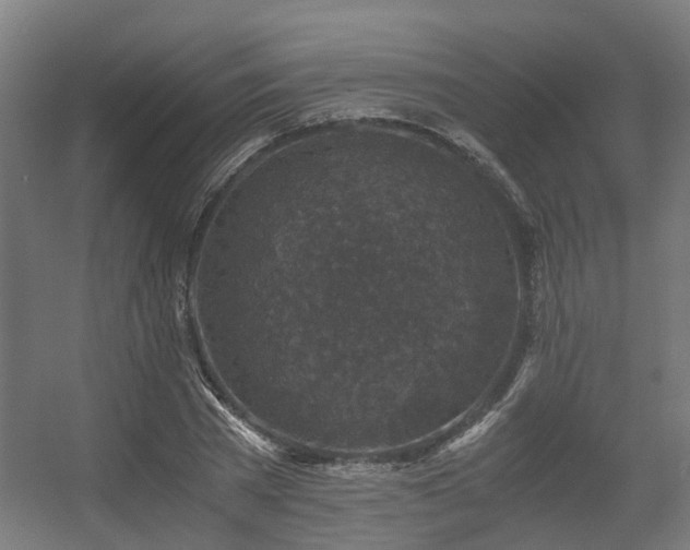 X0000056380785200508291411