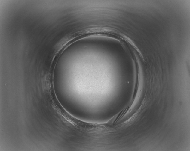 X0000056380786200508291411