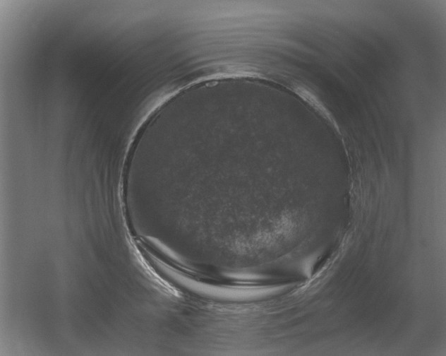 X0000056380797200508291410