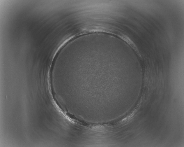X0000056380798200508291410