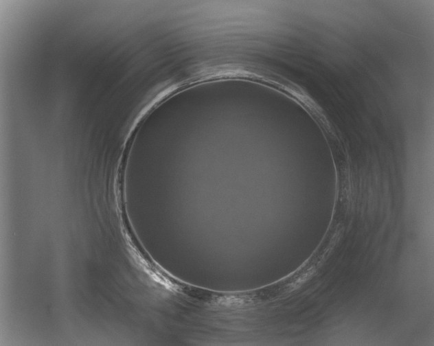 X0000056380806200508291410