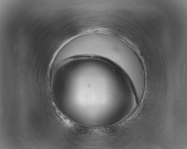 X0000056380816200508291410