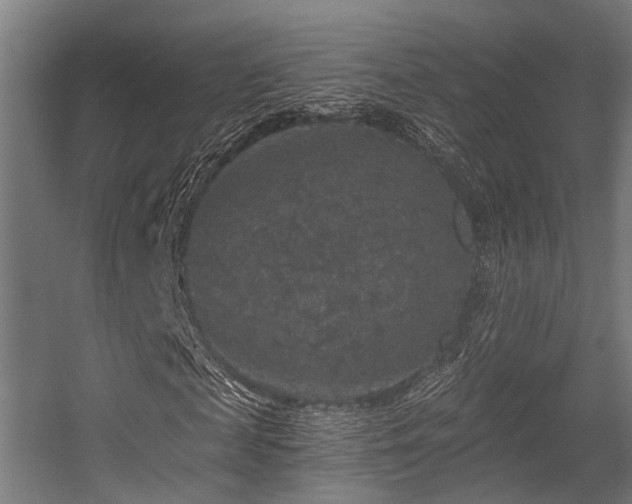 X0000056380817200508291409