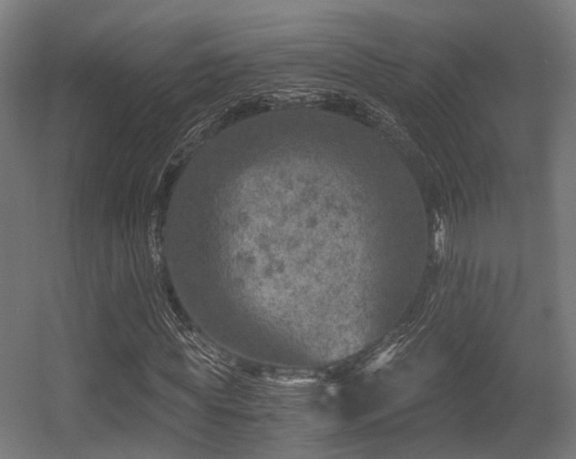 X0000056380819200508291409