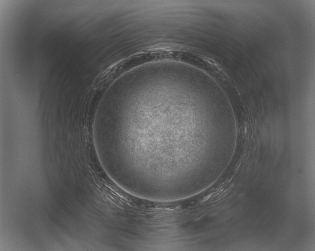 X0000056380821200508291409