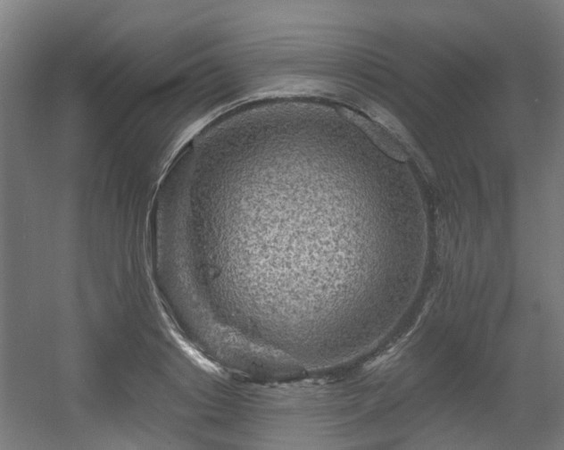 X0000056380842200508291410
