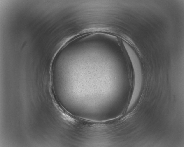 X0000056380844200508291410