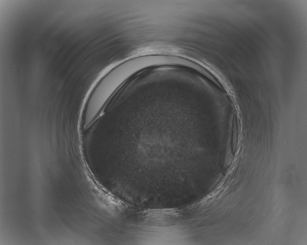 X0000056380864200508291410
