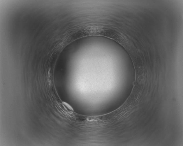 X0000056380866200508291409