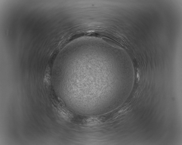 X0000056380867200508291409