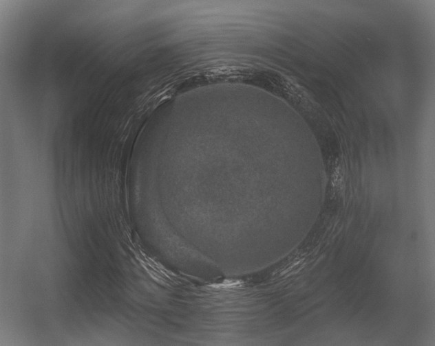 X0000056380868200508291409