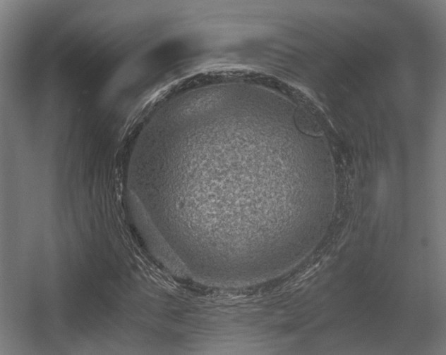 X0000056380871200508291409