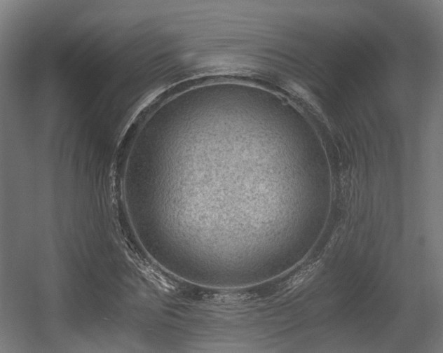 X0000056380875200508291409