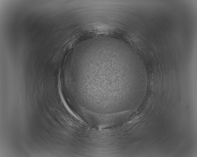 X0000056380916200508291408