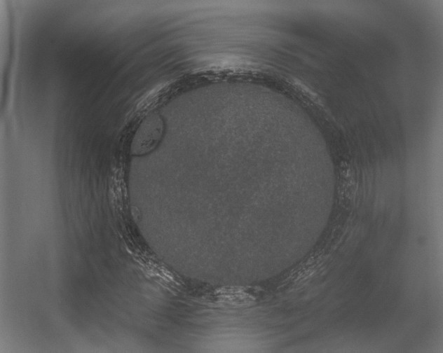 X0000056380918200508291408