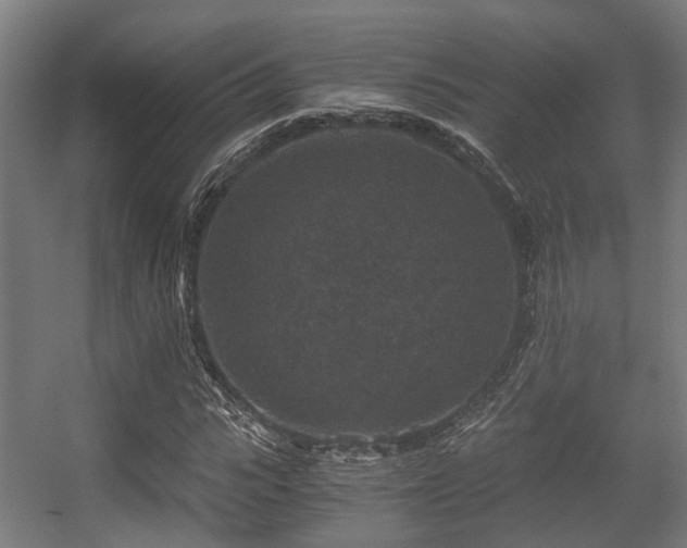 X0000056380919200508291408
