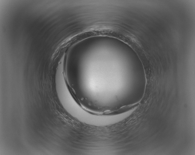 X0000056380920200508291408