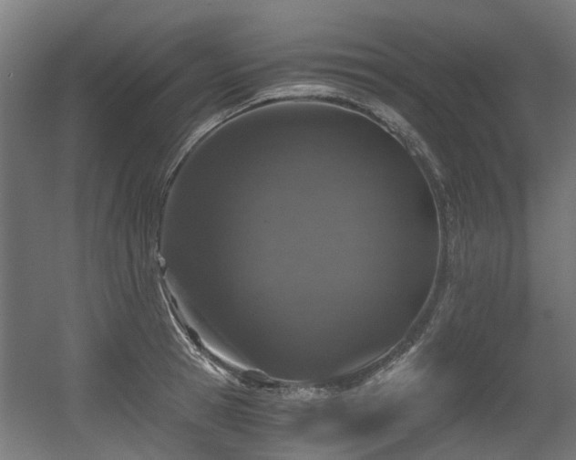 X0000056380945200508291408