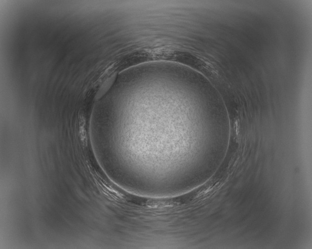 X0000056380963200508291408