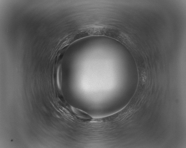 X0000056380964200508291408