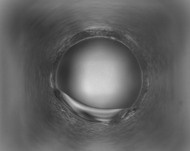 X0000056380965200508291408