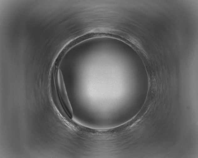 X0000056380976200508291407