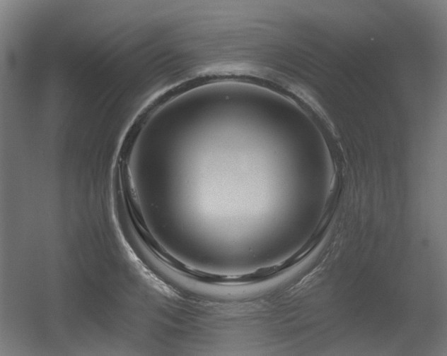 X0000056380984200508291407