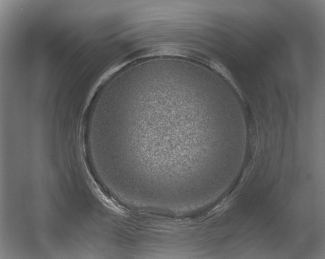 X0000056380987200508291407