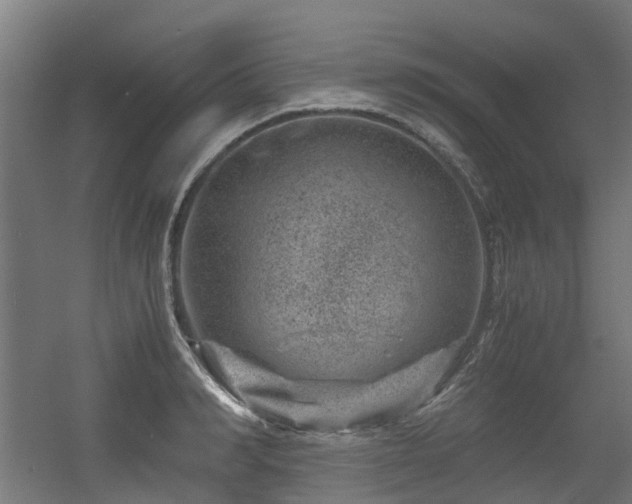 X0000056380990200508291407