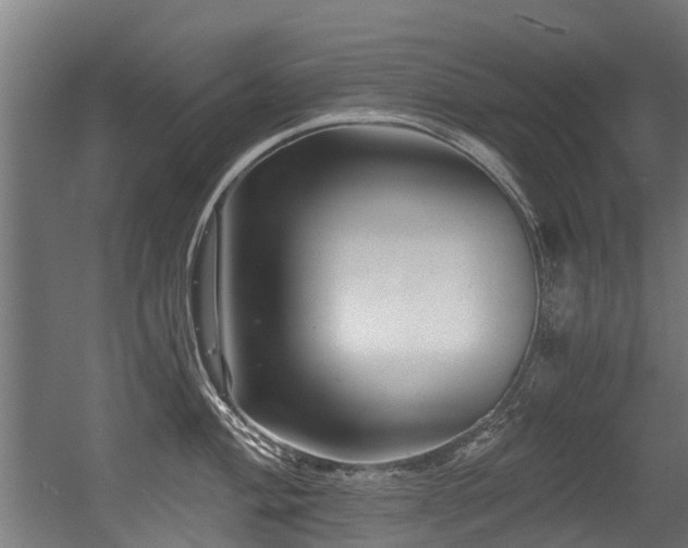 X0000056381004200508291407